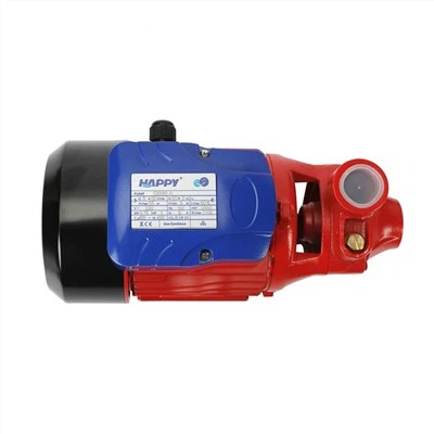 Pompa dell'acqua da 750 W