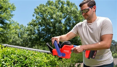 Tagliasiepi vs. Tagliabordi: quale appartiene al tuo giardino?